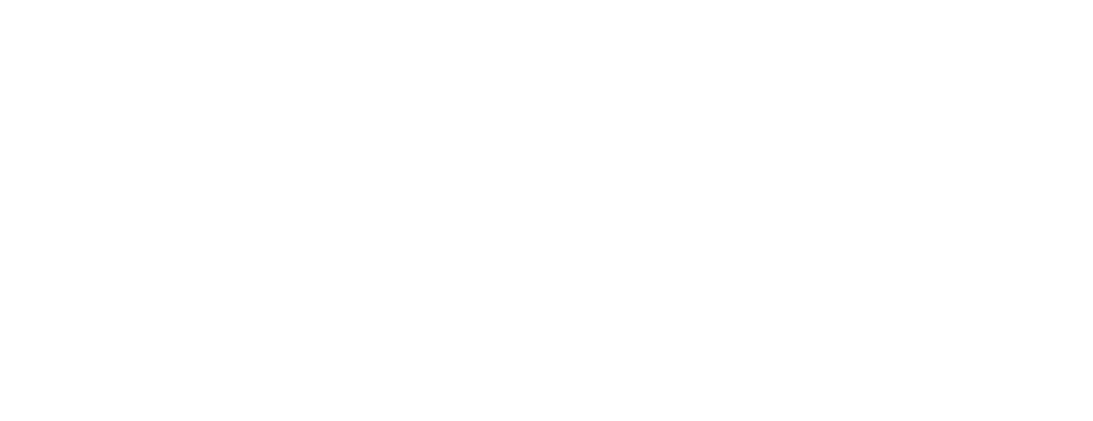 Star Name Registry logo